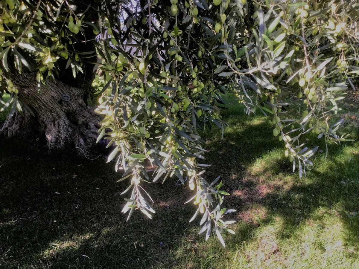 Il Dono Di Atena Cefalú Exterior foto